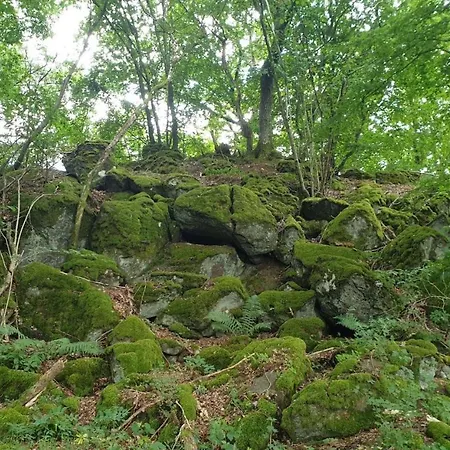 Lägenhet Dreier-ley Üdersdorf