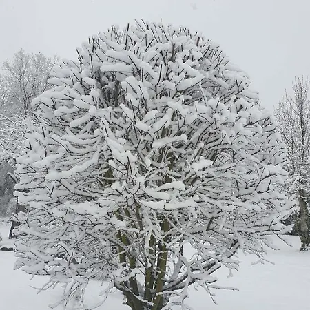Lägenhet Dreier-ley *