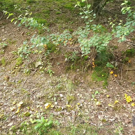 Dreier-ley Üdersdorf