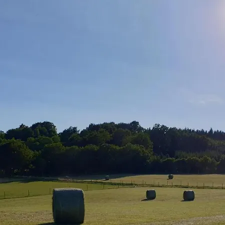 Lägenhet Dreier-ley *