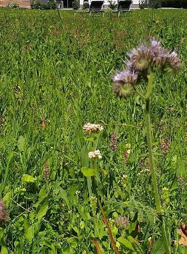 Апартаменты Dreier-ley Udersdorf