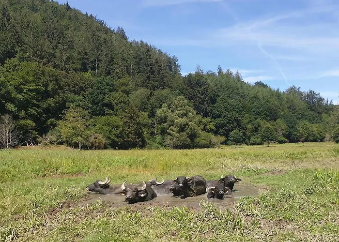 Апартаменты Dreier-ley Udersdorf