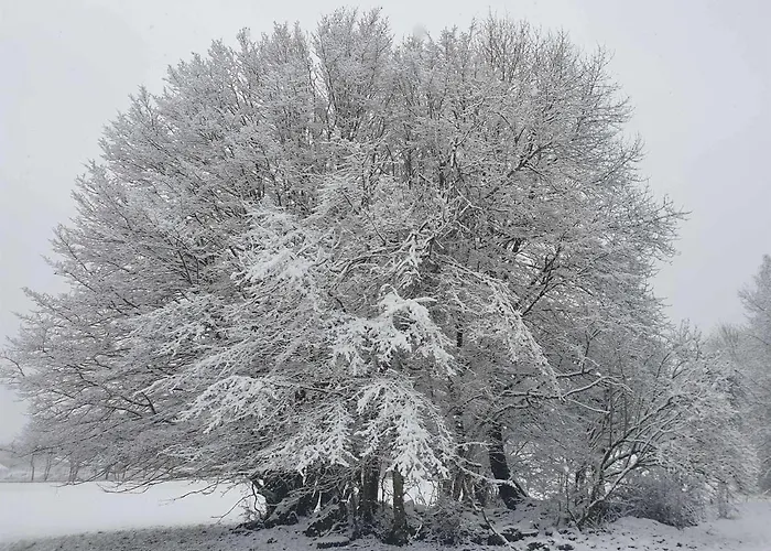 Dreier-ley Апартаменты *