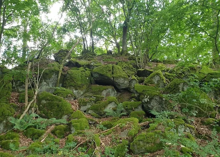 Апартаменты Dreier-ley Udersdorf