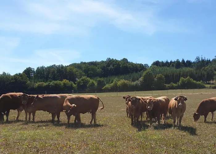 Dreier-ley Апартаменты