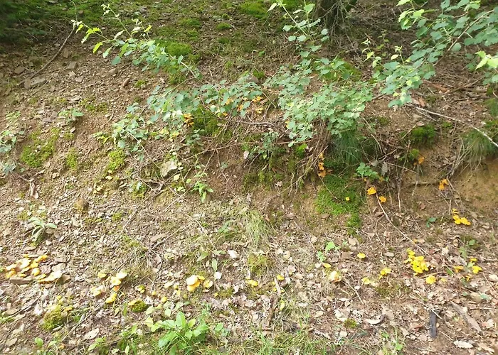 Dreier-ley Udersdorf