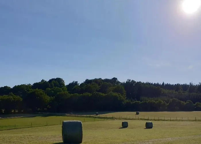 Апартаменты Dreier-ley *